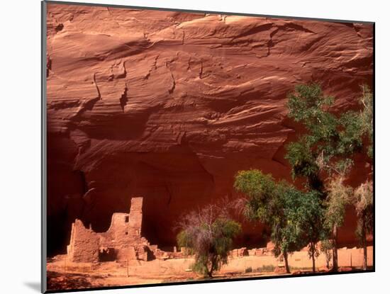 Anasazi Antelope House Ruin and Cottonwood Trees, Canyon de Chelly National Monument, Arizona, USA-Alison Jones-Mounted Premium Photographic Print