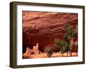 Anasazi Antelope House Ruin and Cottonwood Trees, Canyon de Chelly National Monument, Arizona, USA-Alison Jones-Framed Photographic Print