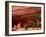 Anasazi Antelope House Ruin and Cottonwood Trees, Canyon de Chelly National Monument, Arizona, USA-Alison Jones-Framed Photographic Print