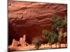 Anasazi Antelope House Ruin and Cottonwood Trees, Canyon de Chelly National Monument, Arizona, USA-Alison Jones-Mounted Photographic Print