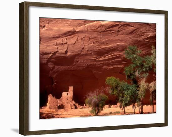 Anasazi Antelope House Ruin and Cottonwood Trees, Canyon de Chelly National Monument, Arizona, USA-Alison Jones-Framed Photographic Print