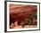 Anasazi Antelope House Ruin and Cottonwood Trees, Canyon de Chelly National Monument, Arizona, USA-Alison Jones-Framed Photographic Print
