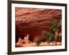 Anasazi Antelope House Ruin and Cottonwood Trees, Canyon de Chelly National Monument, Arizona, USA-Alison Jones-Framed Photographic Print