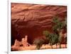 Anasazi Antelope House Ruin and Cottonwood Trees, Canyon de Chelly National Monument, Arizona, USA-Alison Jones-Framed Photographic Print