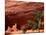 Anasazi Antelope House Ruin and Cottonwood Trees, Canyon de Chelly National Monument, Arizona, USA-Alison Jones-Mounted Photographic Print