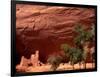 Anasazi Antelope House Ruin and Cottonwood Trees, Canyon de Chelly National Monument, Arizona, USA-Alison Jones-Framed Photographic Print