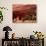 Anasazi Antelope House Ruin and Cottonwood Trees, Canyon de Chelly National Monument, Arizona, USA-Alison Jones-Photographic Print displayed on a wall