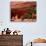 Anasazi Antelope House Ruin and Cottonwood Trees, Canyon de Chelly National Monument, Arizona, USA-Alison Jones-Photographic Print displayed on a wall