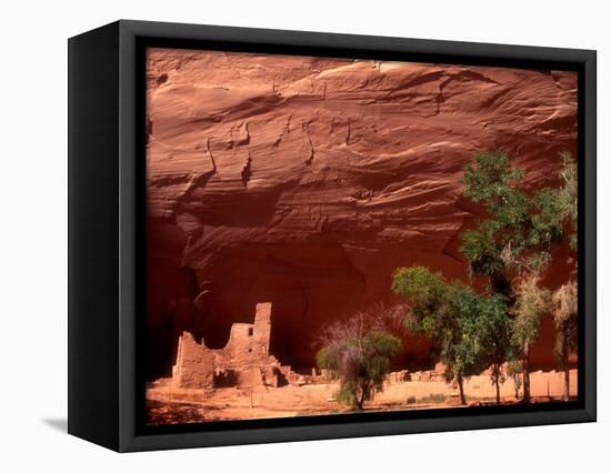 Anasazi Antelope House Ruin and Cottonwood Trees, Canyon de Chelly National Monument, Arizona, USA-Alison Jones-Framed Stretched Canvas