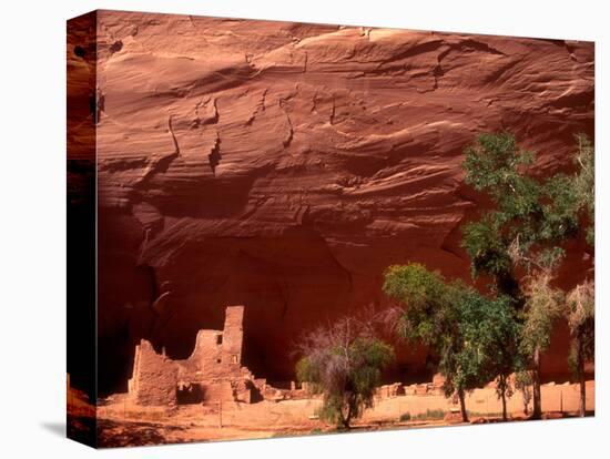 Anasazi Antelope House Ruin and Cottonwood Trees, Canyon de Chelly National Monument, Arizona, USA-Alison Jones-Stretched Canvas