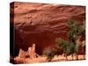 Anasazi Antelope House Ruin and Cottonwood Trees, Canyon de Chelly National Monument, Arizona, USA-Alison Jones-Stretched Canvas