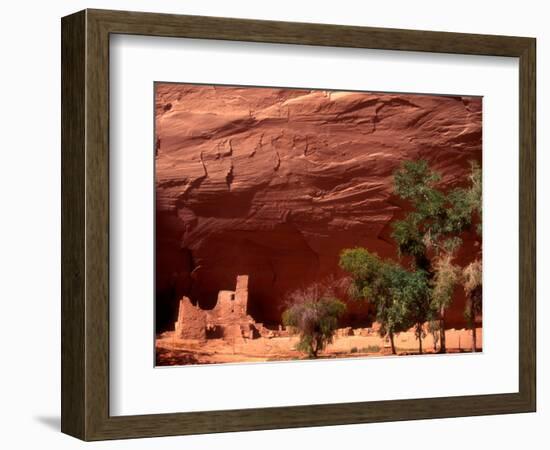 Anasazi Antelope House Ruin and Cottonwood Trees, Canyon de Chelly National Monument, Arizona, USA-Alison Jones-Framed Photographic Print