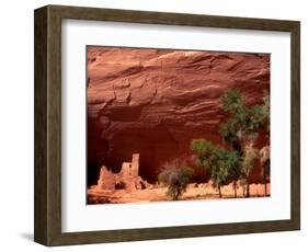 Anasazi Antelope House Ruin and Cottonwood Trees, Canyon de Chelly National Monument, Arizona, USA-Alison Jones-Framed Photographic Print