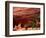 Anasazi Antelope House Ruin and Cottonwood Trees, Canyon de Chelly National Monument, Arizona, USA-Alison Jones-Framed Photographic Print