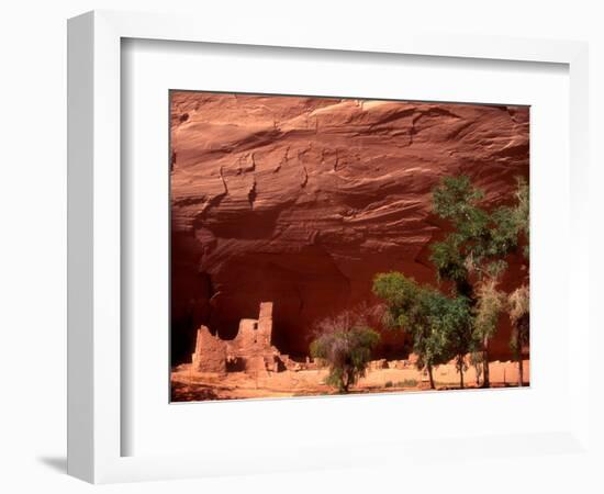 Anasazi Antelope House Ruin and Cottonwood Trees, Canyon de Chelly National Monument, Arizona, USA-Alison Jones-Framed Photographic Print