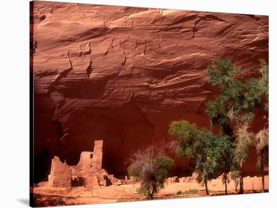 Anasazi Antelope House Ruin and Cottonwood Trees, Canyon de Chelly National Monument, Arizona, USA-Alison Jones-Stretched Canvas