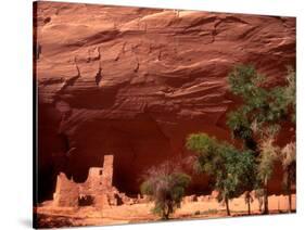 Anasazi Antelope House Ruin and Cottonwood Trees, Canyon de Chelly National Monument, Arizona, USA-Alison Jones-Stretched Canvas