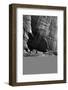 Anasazi Pueblo-Timothy H O'Sullivan-Framed Photographic Print