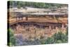 Anasazi Ruins, Cliff Palace, Dating from Between 600 Ad and 1300 Ad-Richard Maschmeyer-Stretched Canvas