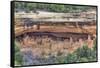 Anasazi Ruins, Cliff Palace, Dating from Between 600 Ad and 1300 Ad-Richard Maschmeyer-Framed Stretched Canvas