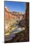 Anasazi Ruins. Nankoweap Granaries. Grand Canyon. Arizona. USA-Tom Norring-Mounted Photographic Print