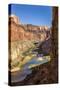 Anasazi Ruins. Nankoweap Granaries. Grand Canyon. Arizona. USA-Tom Norring-Stretched Canvas