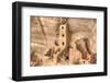 Anasazi Ruins, Square Tower House, Dating from Between 600 Ad and 1300 Ad-Richard Maschmeyer-Framed Photographic Print