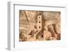 Anasazi Ruins, Square Tower House, Dating from Between 600 Ad and 1300 Ad-Richard Maschmeyer-Framed Photographic Print