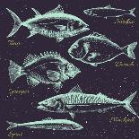 Vector Set of Sea Fish Menu, Shrimp, Fish, Dorado, Mackerel, Sprats, Sardines,Retro Graphic Line Dr-Anastasia Zenina-Lembrik-Art Print