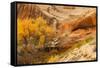 ANASTZI HOMELAND-SALLY LINDEN-Framed Stretched Canvas