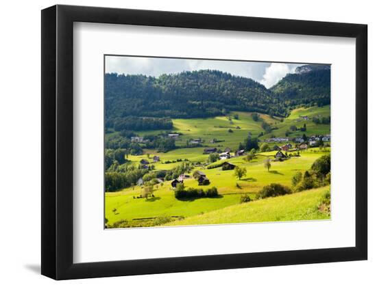 Premium Photographic Print, , large