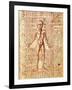 Anatomical Chart of Human Body, Tractatabus de Pestilentia, 15th century Manuscript by M. Albik-null-Framed Giclee Print