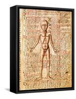 Anatomical Chart of Human Body, Tractatabus de Pestilentia, 15th century Manuscript by M. Albik-null-Framed Stretched Canvas