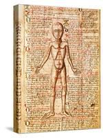 Anatomical Chart of Human Body, Tractatabus de Pestilentia, 15th century Manuscript by M. Albik-null-Stretched Canvas