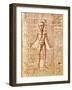 Anatomical Chart of Human Body, Tractatabus de Pestilentia, 15th century Manuscript by M. Albik-null-Framed Giclee Print