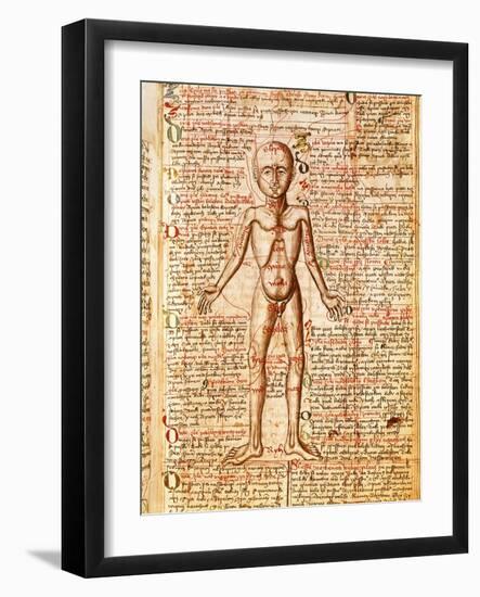 Anatomical Chart of Human Body, Tractatabus de Pestilentia, 15th century Manuscript by M. Albik-null-Framed Giclee Print