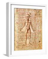 Anatomical Chart of Human Body, Tractatabus de Pestilentia, 15th century Manuscript by M. Albik-null-Framed Giclee Print