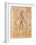 Anatomical Chart of Human Body, Tractatabus de Pestilentia, 15th century Manuscript by M. Albik-null-Framed Giclee Print