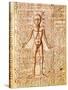 Anatomical Chart of Human Body, Tractatabus de Pestilentia, 15th century Manuscript by M. Albik-null-Stretched Canvas