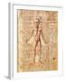 Anatomical Chart of Human Body, Tractatabus de Pestilentia, 15th century Manuscript by M. Albik-null-Framed Giclee Print