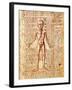 Anatomical Chart of Human Body, Tractatabus de Pestilentia, 15th century Manuscript by M. Albik-null-Framed Giclee Print