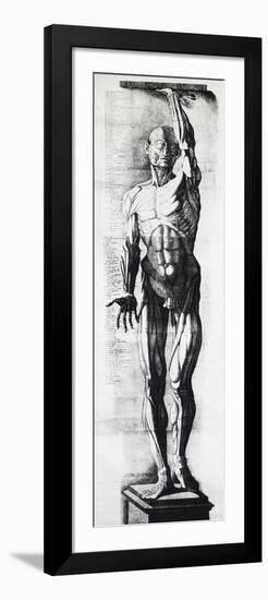 Anatomical Chart-Ercole Lelli-Framed Giclee Print