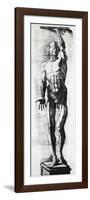 Anatomical Chart-Ercole Lelli-Framed Premium Giclee Print