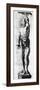 Anatomical Chart-Ercole Lelli-Framed Premium Giclee Print