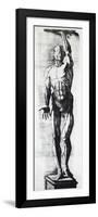 Anatomical Chart-Ercole Lelli-Framed Premium Giclee Print