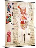 Anatomical Diagram, from "De Arte Phisicali E De Cirurgia" by John Arderne, 1412-null-Mounted Giclee Print