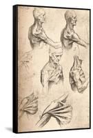 Anatomical Drawing, C1472-C1519 (1883)-Leonardo da Vinci-Framed Stretched Canvas