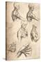 Anatomical Drawing, C1472-C1519 (1883)-Leonardo da Vinci-Stretched Canvas