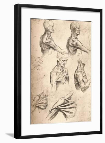 Anatomical Drawing, C1472-C1519 (1883)-Leonardo da Vinci-Framed Giclee Print