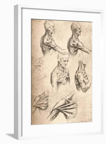 Anatomical Drawing, C1472-C1519 (1883)-Leonardo da Vinci-Framed Giclee Print